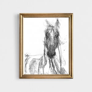 Horse Charcoal Drawing, Horse Print, Horse Drawing, Horse Art Print, Equine Art Print, Horse Drawing, Equine Art