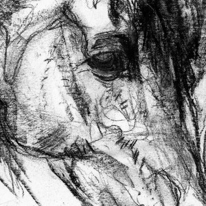 Pu&ograve; includere: Un disegno a carboncino in bianco e nero da vicino di un occhio e un muso di cavallo. Il disegno &egrave; realizzato in uno stile sciolto ed espressivo, con pennellate visibili.