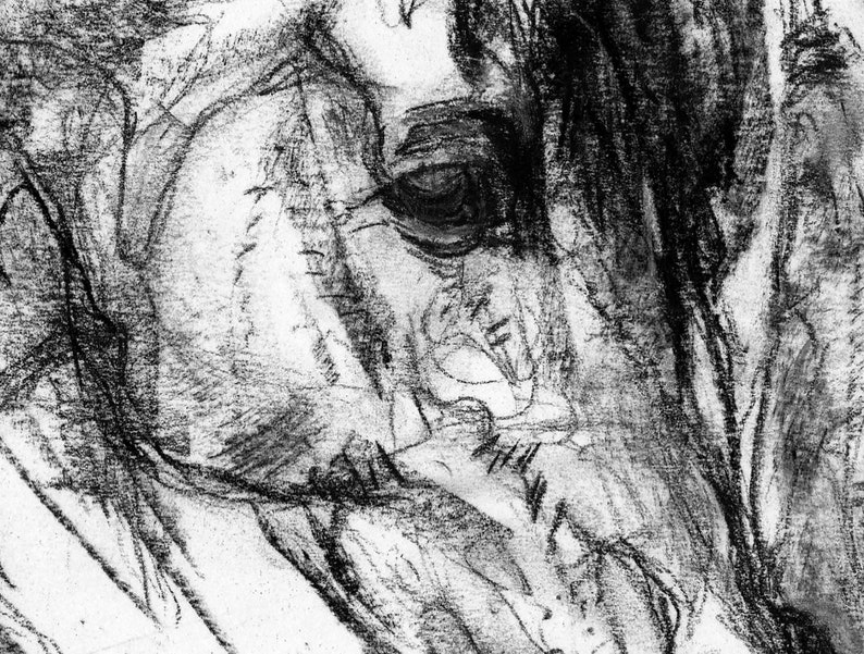 Pu&ograve; includere: Un disegno a carboncino in bianco e nero da vicino di un occhio e un muso di cavallo. Il disegno &egrave; realizzato in uno stile sciolto ed espressivo, con pennellate visibili.