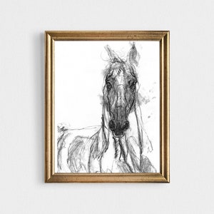Stampa artistica equina, disegno originale di cavallo a carboncino, edizione limitata