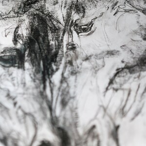 Pu&ograve; includere: Un disegno a carboncino in bianco e nero a primo piano del viso di un cavallo. Il disegno &egrave; dettagliato e mostra l'occhio, il naso e la bocca del cavallo.
