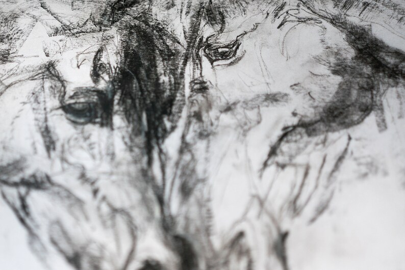 Pu&ograve; includere: Un disegno a carboncino in bianco e nero a primo piano del viso di un cavallo. Il disegno &egrave; dettagliato e mostra l'occhio, il naso e la bocca del cavallo.