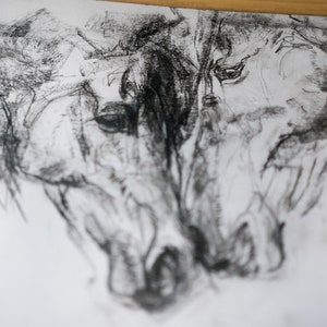 Pu&ograve; includere: Un disegno a carboncino in bianco e nero di due teste di cavallo, con i nasi che si toccano. Il disegno &egrave; realizzato in uno stile sciolto ed espressivo.