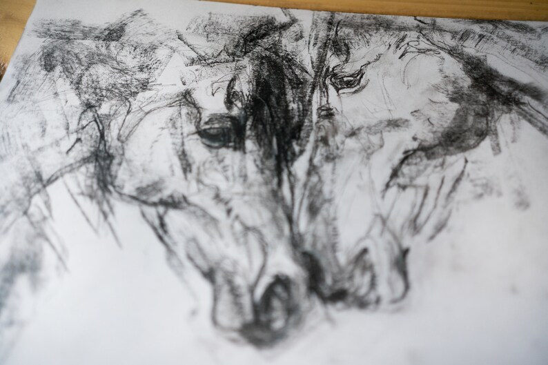 Pu&ograve; includere: Un disegno a carboncino in bianco e nero di due teste di cavallo, con i nasi che si toccano. Il disegno &egrave; realizzato in uno stile sciolto ed espressivo.
