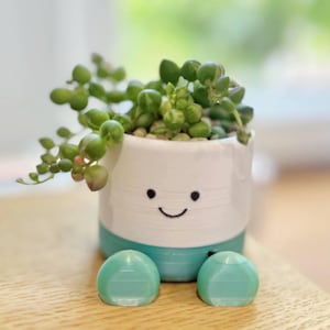 May include: A small, white ceramic planter with a smiling face and turquoise accents, holding a string of pearls succulent. The planter has two turquoise feet. The plant has green, round leaves.