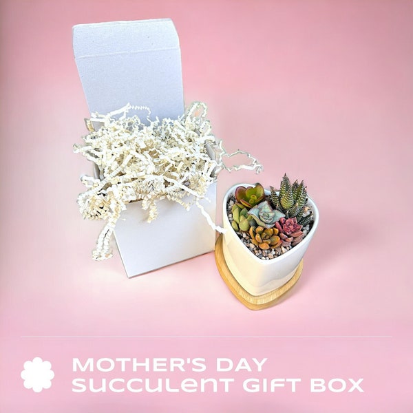 Mother's Day Succulent Arrangement Gift Box, mothers day succulent pot, Succulent Arrangement In Ceramic pot