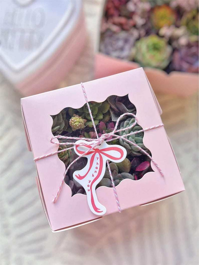 Thank You Succulents Gift Box - Thumbnail 4