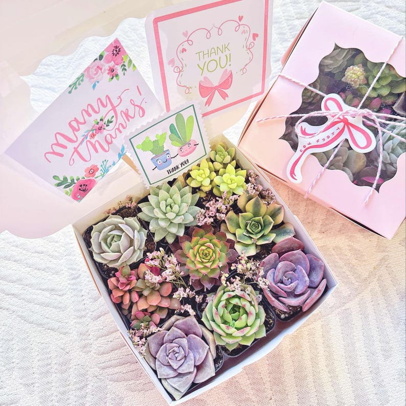 Thank You Succulents Gift Box - Thumbnail 5