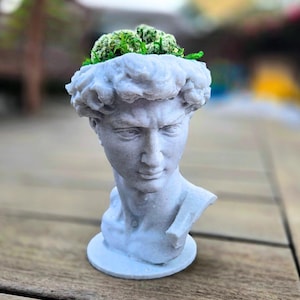 3D Printed David Planter Pot with Marble-Like Finish with Brain Cactus