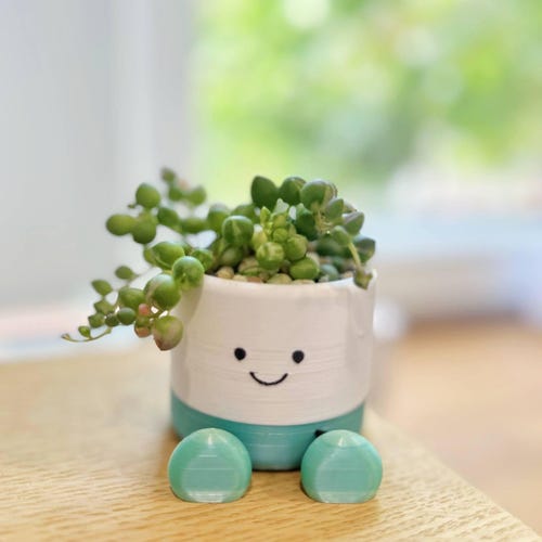 3D printed 'little guy' pot with variegated string of pearl