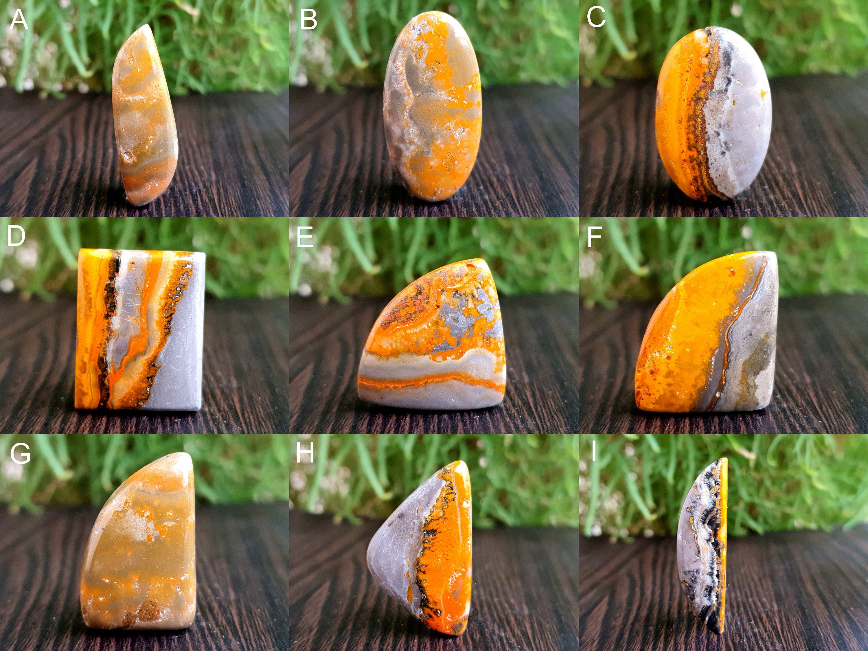 Natural Bumblebee jasper Gemstone Healing Bumblebee jasper Etsy