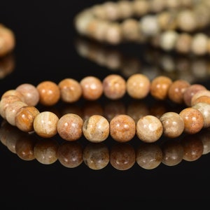 Natural Fossil Coral Bracelet: Round Gemstone Bead Stretch Bracelet