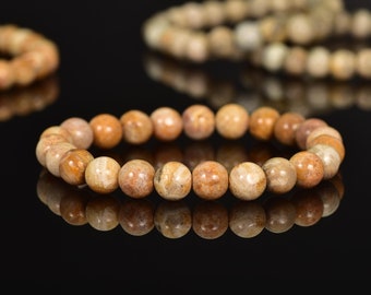 Natural Fossil Coral Bracelet: Round Gemstone Bead Stretch Bracelet
