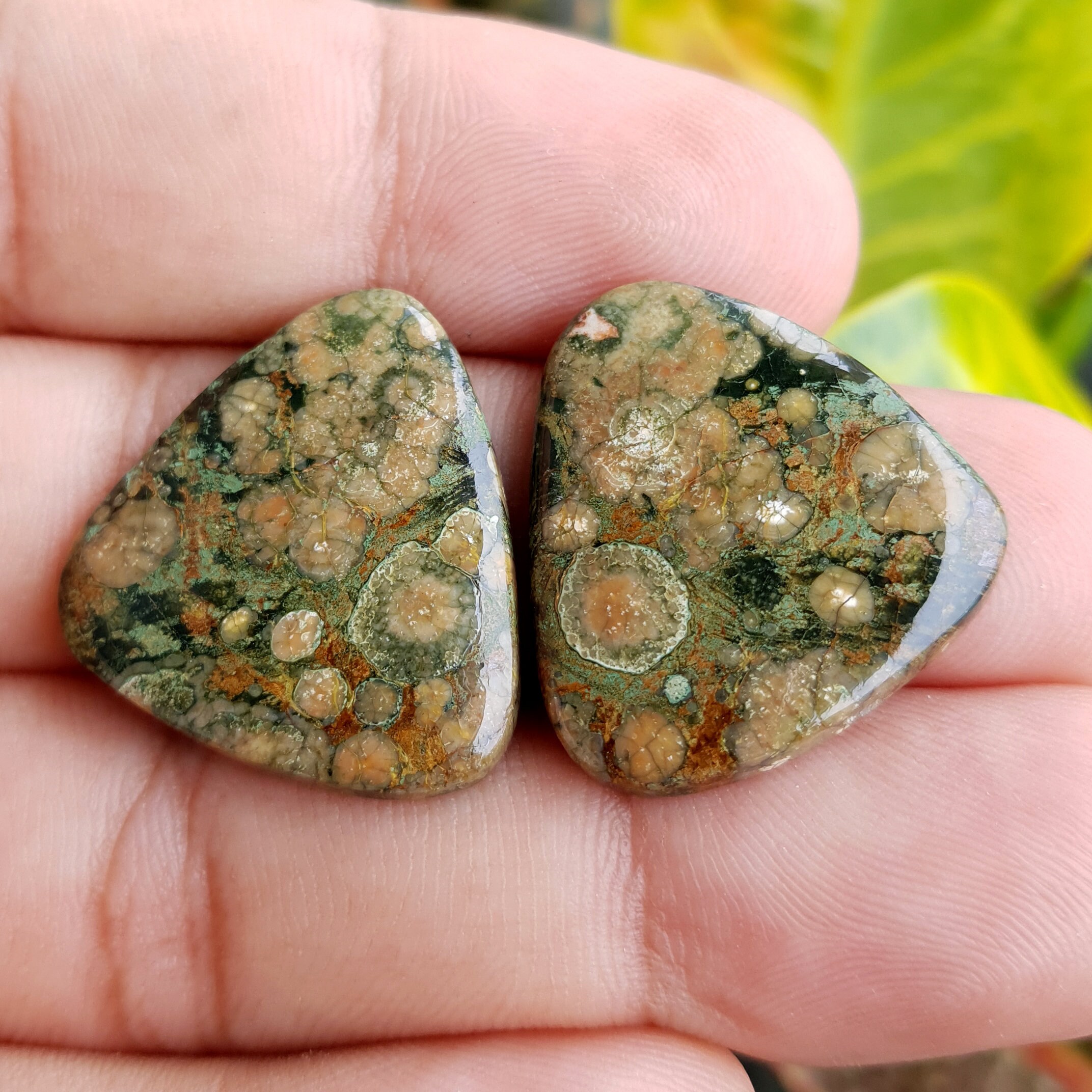 Natural Ocean Jasper Pair Gemstone Cabochon Trillion Ocean Etsy