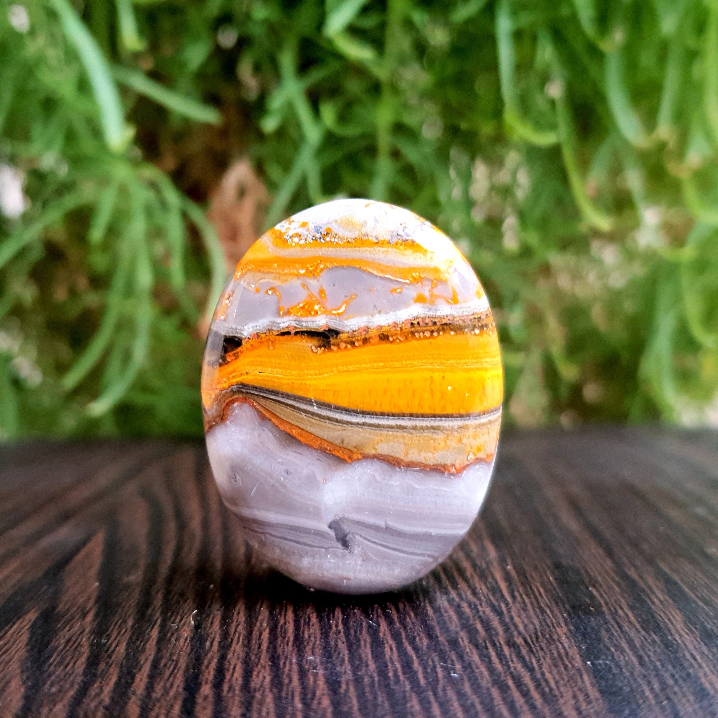 Beautiful Natural Bumblebee Jasper Cabochon Bumblebee Jasper Etsy