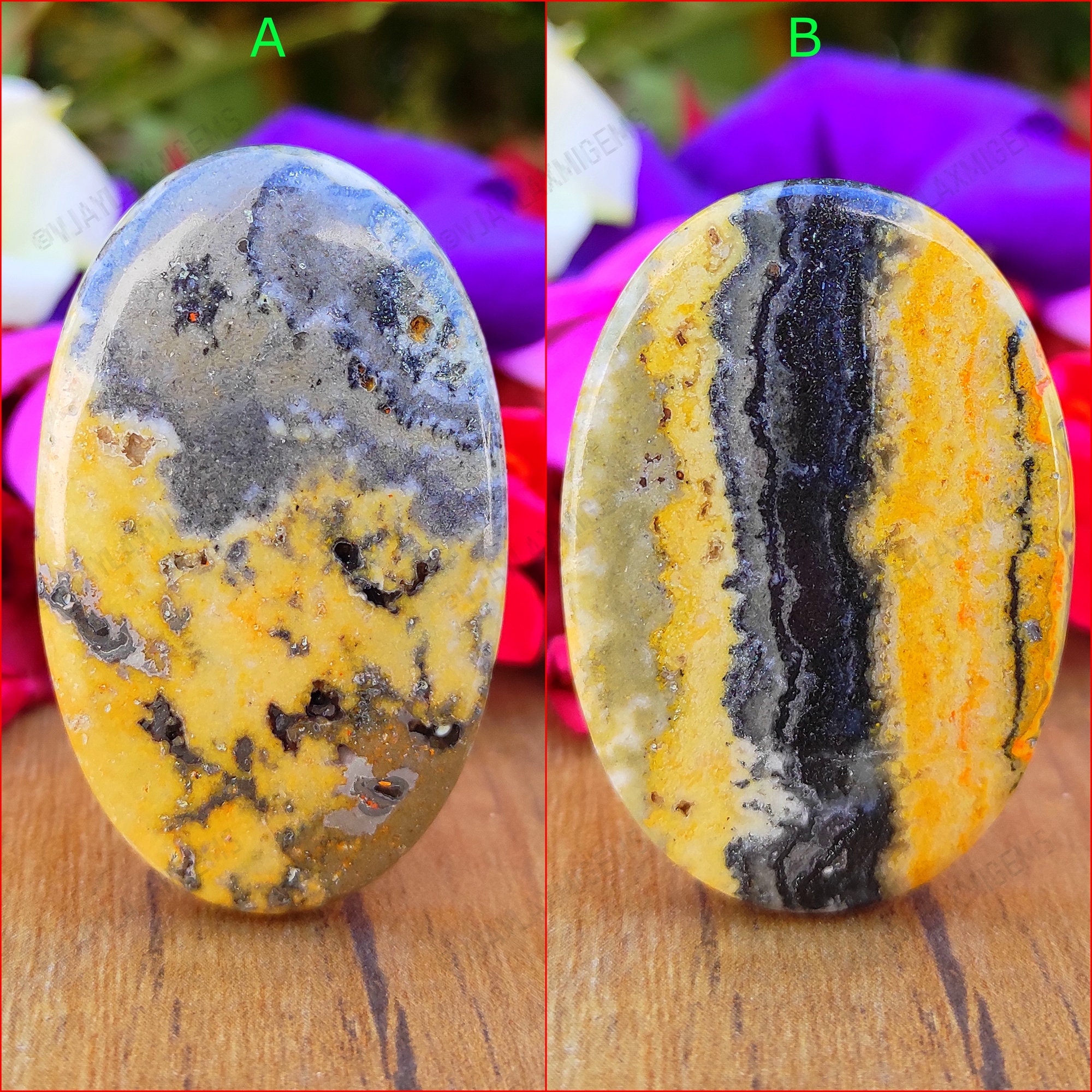 bumble bee jasper
