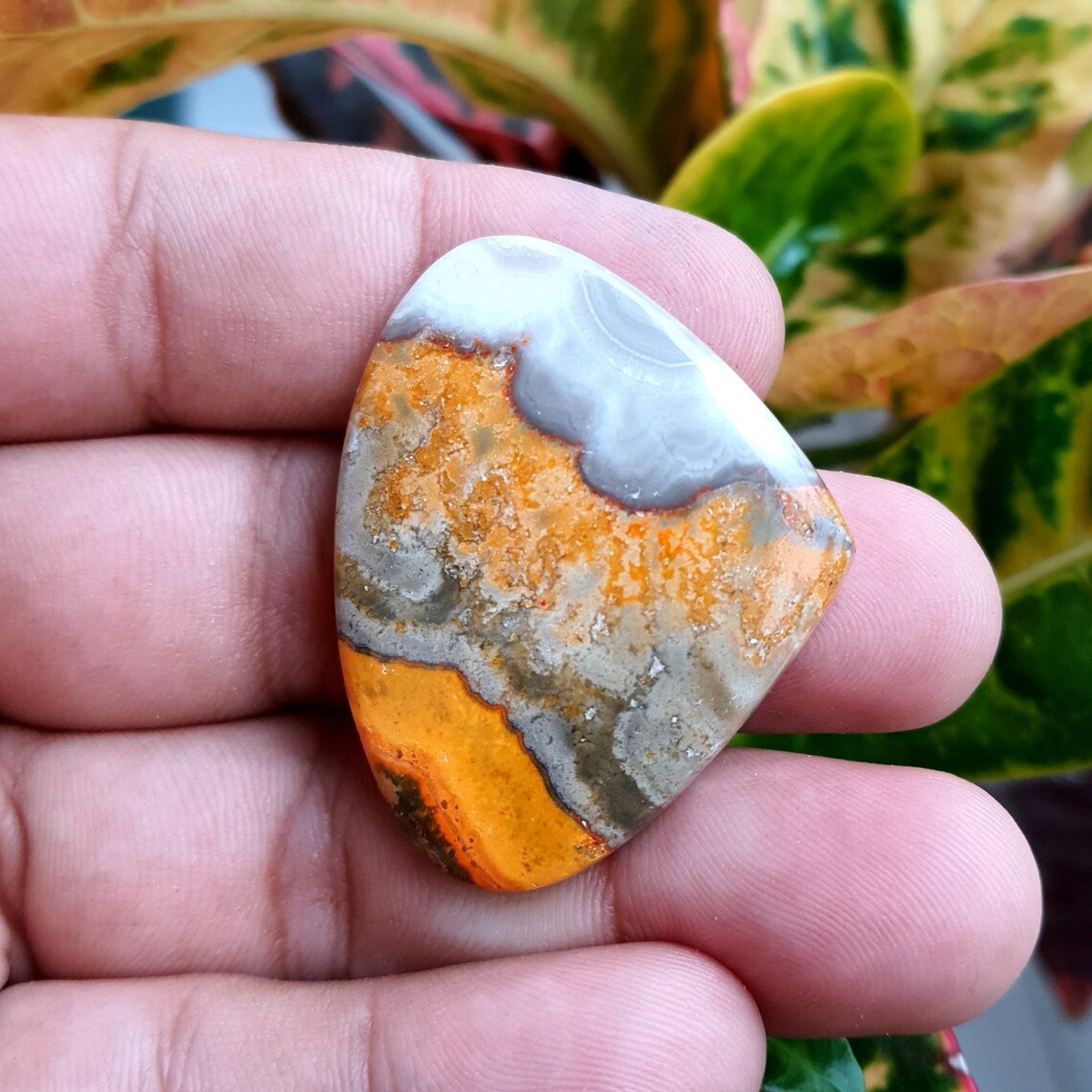 Bumblebee Jasper Cabochon Natural Bumble Bee Jasper Gemstone Etsy