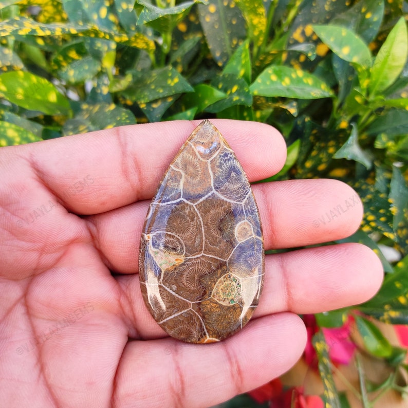 Fossil coral Palm stone pear Shape Cabochon Semi Precious Loose Gemstone