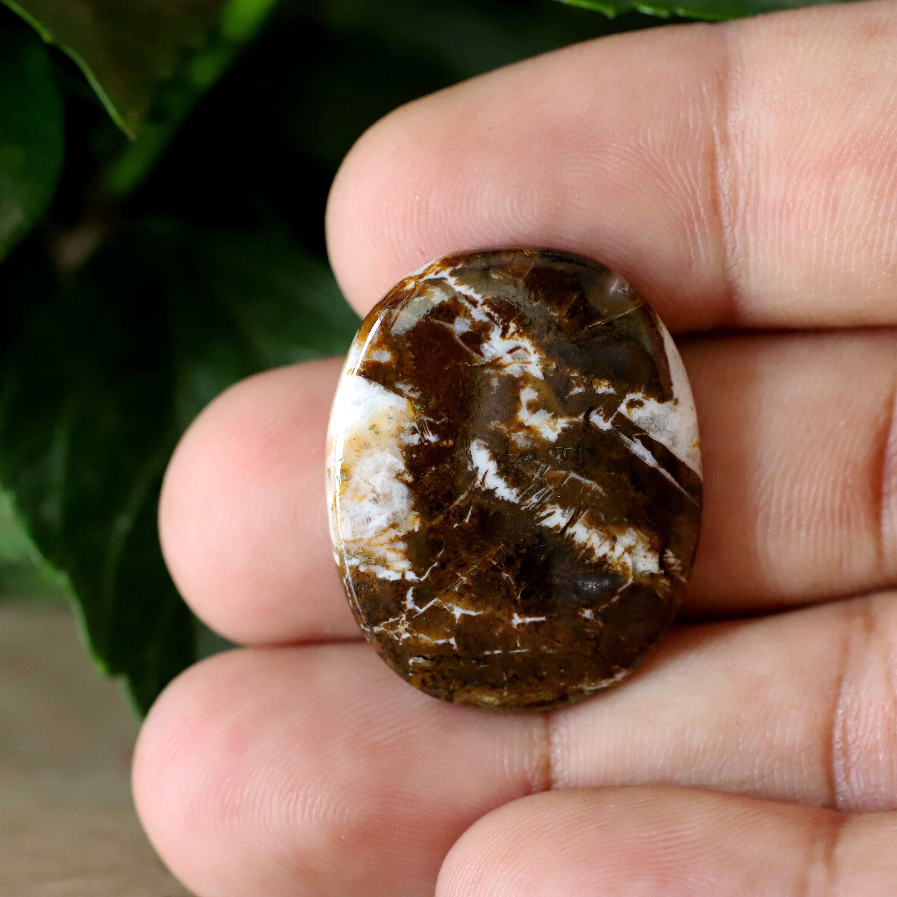 Wild Horse Jasper Cabochon. RARE GRADE Natural Brown Wild Etsy