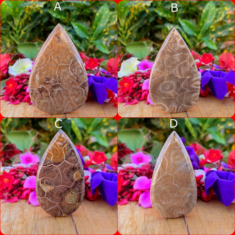 Fossil coral Palm stone pear Shape Cabochon Semi Precious Loose Gemstone