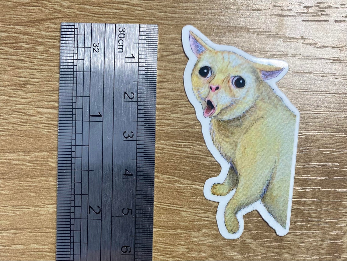 Cat Meme Vinyl Sticker, Cat Art Sticker, Cat Lover Gift, Funny Decal ...