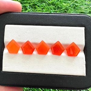 Peut inclure: Cinq pierres précieuses orange-rouge en forme de pentagone facetté sont présentées dans un étui noir et blanc. Les pierres sont disposées en rangée, chacune avec une taille unique, mettant en valeur leur couleur et leur clarté. L'étui est posé sur un fond d'herbe verte.