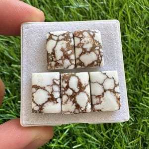 May include: Five rectangular white turquoise stones with brown veining are displayed in a gray plastic case. The stones are held by a person's hand against a background of green grass.