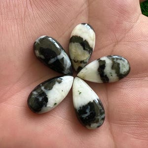 Natural Wild Horse Jasper 10x20mm Pear Cabochons | 20x10mm Pear Shape Wild Horse Jasper Loose Gemstone 5Pcs Lots For Jewellery Making