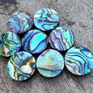 Natural Abalone Shell Cabochons: 20mm Round Gemstone, 5 Pcs