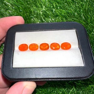 天然エチオピア産オレンジオパール 7x9 オーバルカット：ファセットカボションロット。