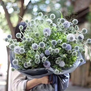 Può includere: Un bouquet di fiori di cardo blu e verde avvolto in carta grigia e legato con un nastro blu. La composizione presenta fiori sferici spinosi e vari fogliame verde, creando un'estetica strutturata e naturale.