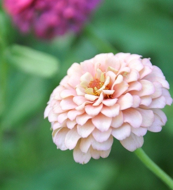 【6】 ひまり 様 ♡smile flower♡ 💐 Smiling Flower・ 3D File for ・Cults