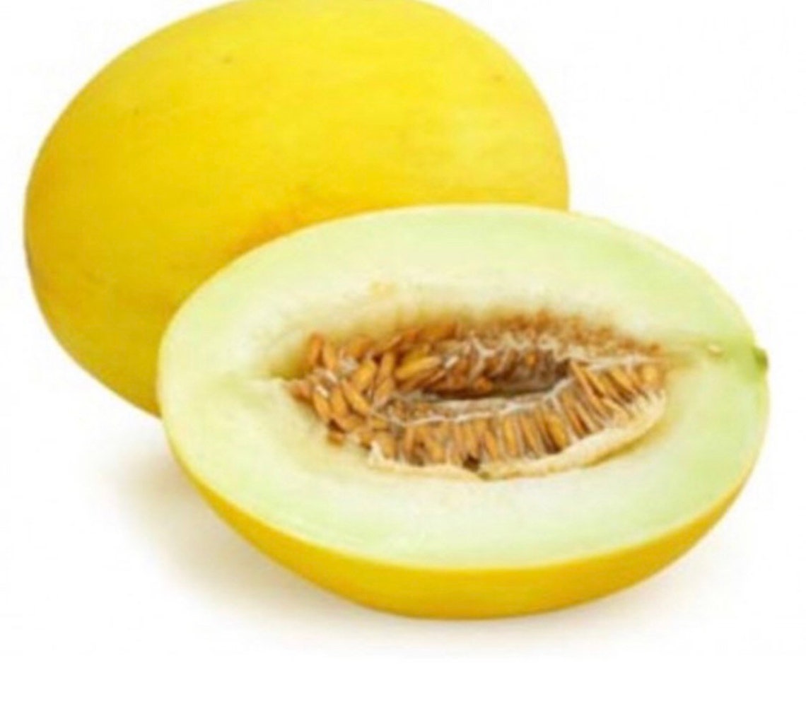 30 Golden Honeydew Melon Seeds Etsy