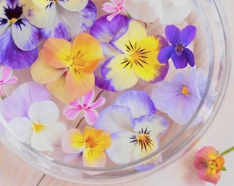 30 seeds Pansy Giant Swiss Pansy mix - Viola