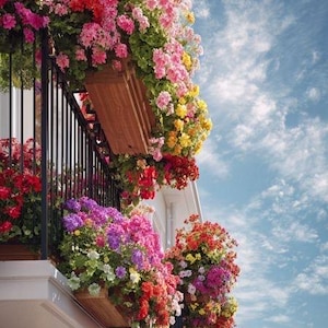 Peut inclure: Un balcon orné de fleurs vibrantes roses, rouges, jaunes et violettes. Les fleurs débordent de jardinières en bois et d'une balustrade en fer forgé noir. Le ciel est bleu clair avec des nuages épars.