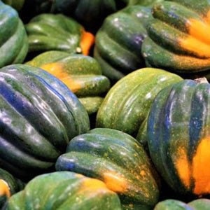 Może przedstawiać: Zbliżenie kilku dyni piżmowych. Dynie mają żebrowaną fakturę i są głównie zielone z pomarańczowymi i żółtymi akcentami. Dynie są ułożone razem, wypełniając kadr.
