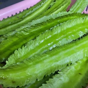 10 seeds organic Winged Bean Seeds | Dragon Horned Four Angled Asparagus Pea