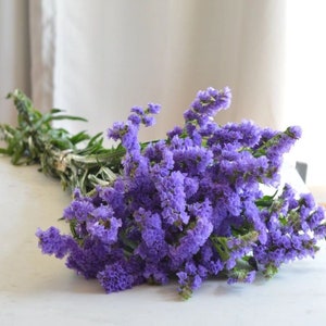 25 seeds Statice Seeds - purple Limonium sinuatum