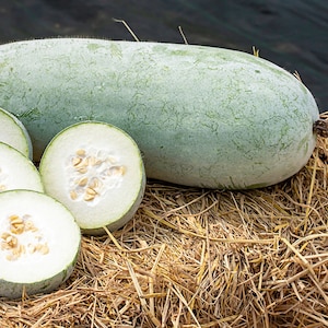 Può includere: Un melone invernale intero e a fette, un frutto grande e oblungo con una buccia verde pallido, poggia su un letto di paglia. Le fette tagliate rivelano polpa bianca e semi. Lo sfondo è scuro e sfocato.