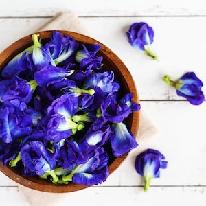 10 semi di Clitoria ternatea biologica, colore unico, per la coltivazione di pisello farfalla - Tisana