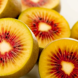 Peut inclure: Gros plan sur plusieurs kiwis coupés, mettant en valeur un contraste de couleurs saisissant. La peau est brun clair, tandis que la chair est jaune vif avec un centre rouge vif. Les graines sont petites et noires, ajoutant de la texture au fruit.