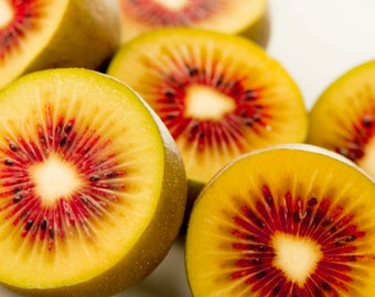 20 seeds Unique Red starburst Passion Kiwifruit Actinidia