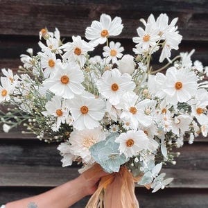Könnte beinhalten: Ein Strauß weißer Kosmosblumen mit gelben Zentren und verschiedenem Grün. Die Blumen werden mit einem beigen Band zusammengehalten. Der Hintergrund ist eine dunkle Holzoberfläche.