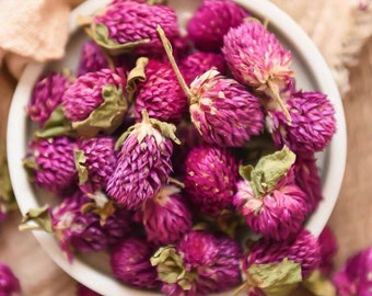 30 seeds Unique Purple Gomphrena Seeds