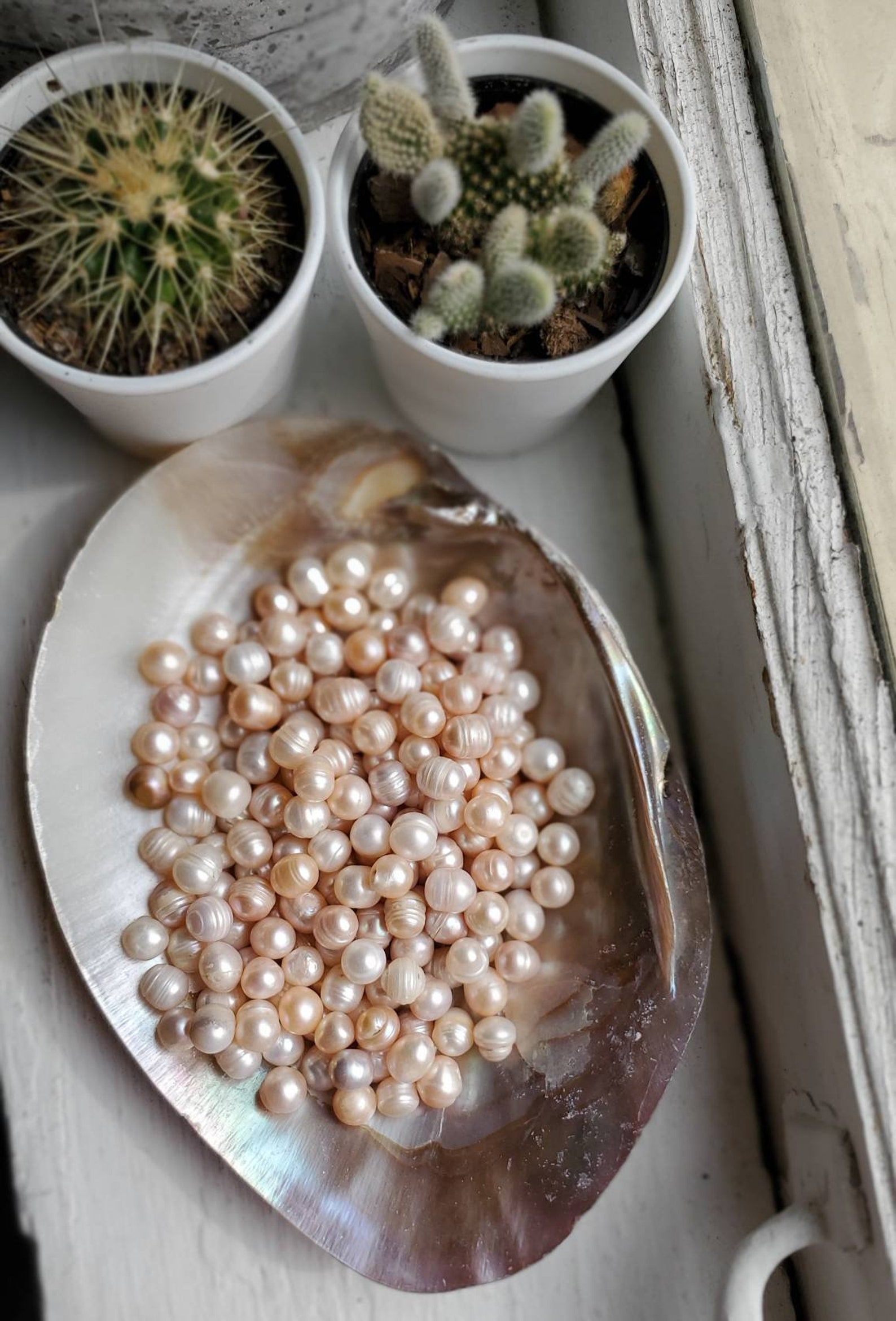 Natural Pearl's Loose Real Pearl's Clams Made these Etsy