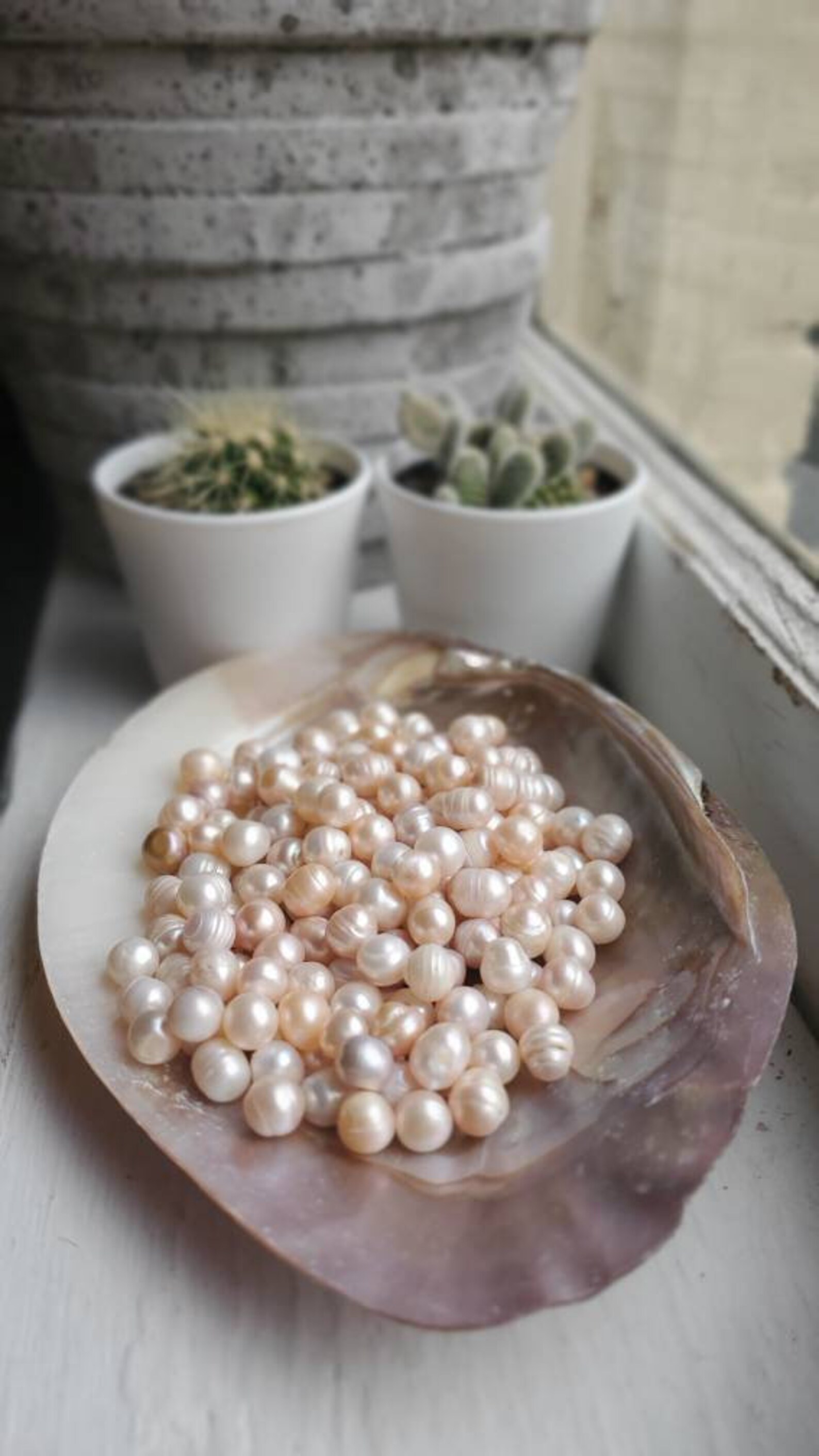 Natural Pearl's Loose Real Pearl's Clams Made these Etsy Italia