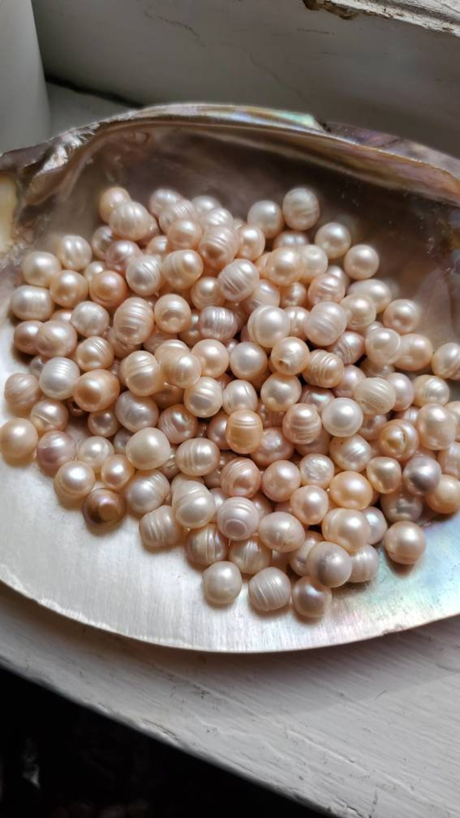 Natural Pearl's Loose Real Pearl's Clams Made These Etsy