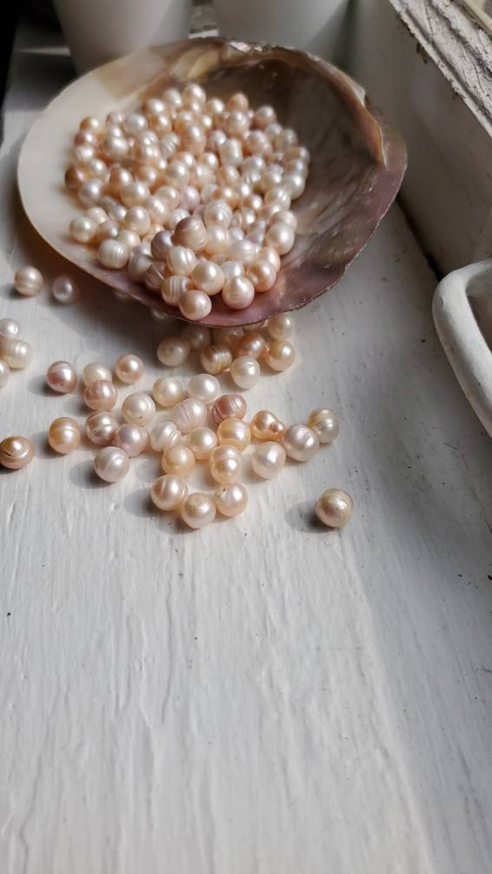 Natural Pearl's Loose Real Pearl's Clams Made These Etsy