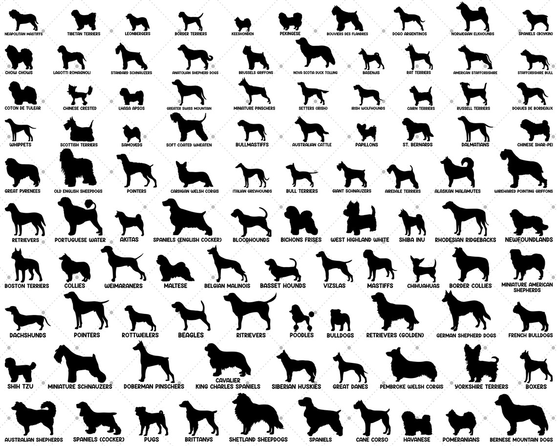 Download 100 Dog Breed Silhouette svg Bundle Dog Silhouette svg Dog ...