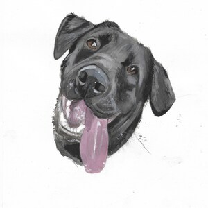 Hand painted custom pet portraits
